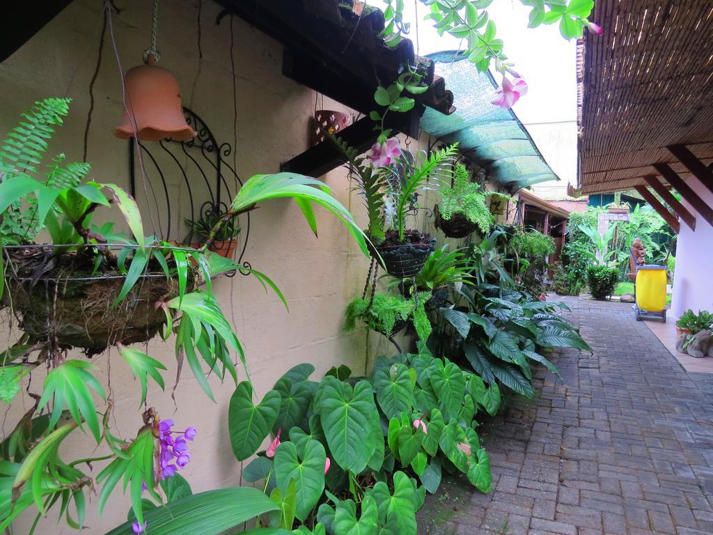 Hotel Vagabondo La Fortuna 외부 사진