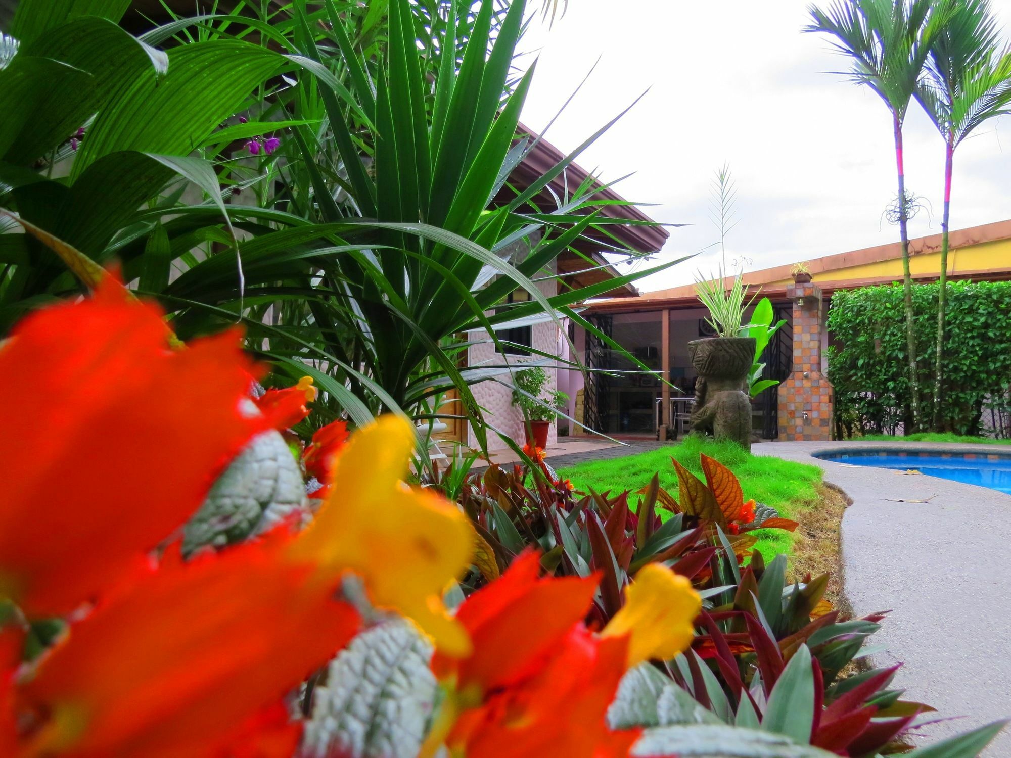 Hotel Vagabondo La Fortuna 외부 사진